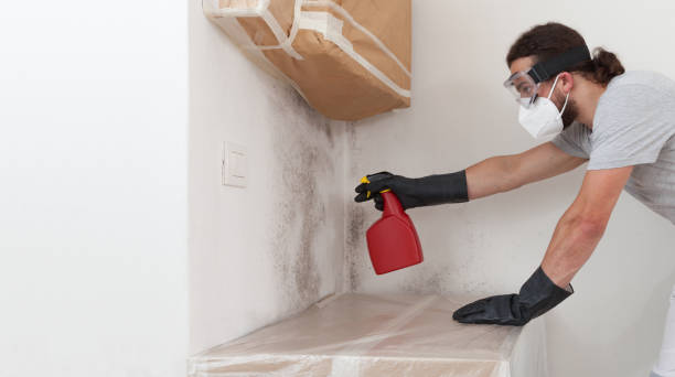 Professional Mold Testing technician working in Dania, FL